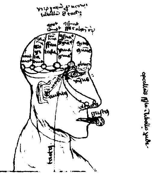 /ru/wp-content/uploads/2018/01/AlbertOnThePsychologyOfSencePerception.png