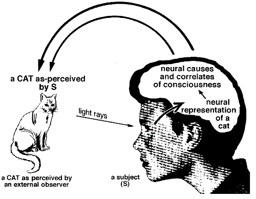 /ru/wp-content/uploads/2020/07/VelmansPerceptualProjection.gif